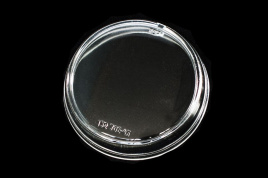 Стекло ПТФ Hella 90 Л=П/BR5522002N